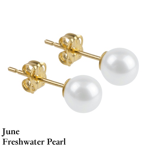 (image for) 9ct Gold Birthstone Earrings - June